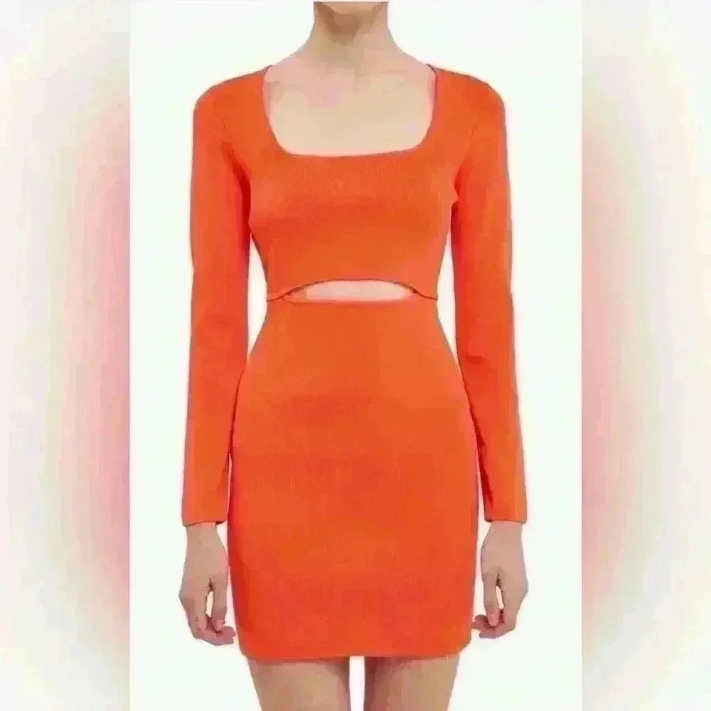 NWT Endless Rose Cutout Knit Mini Bodycon Dress